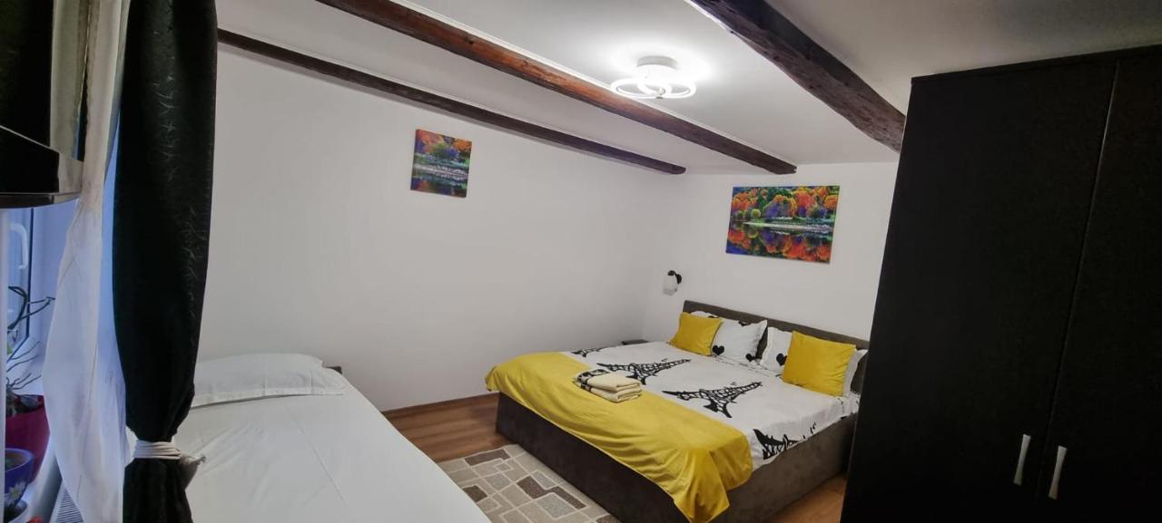 Casa De Oaspeti Laura Rîşnov 외부 사진